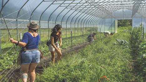 Housing development in southwestern Ohio couples farm life with suburban life | Industry 411 - Waste Management | Scoop.it