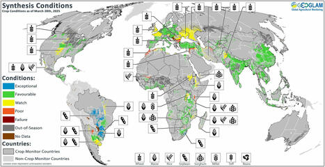 Global Crop Monitor — Monitor Report Information No. 31 - April 2025 | MED-Amin network | Scoop.it