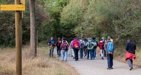 Sortie nature au cœur de la réserve du Confluent | Lacroix-Falgarde | Scoop.it