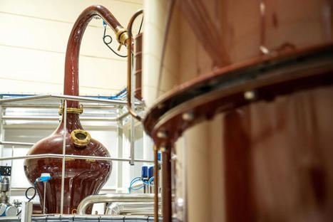 Le cognac amorce sa transition écologique - Usine Nouvelle | Pour innover en agriculture | Scoop.it