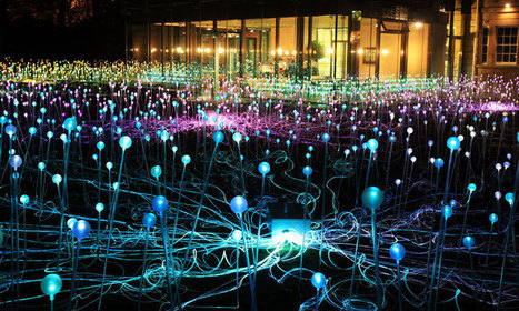 Promenez-vous à travers de somptueux jardins lumineux pour un voyage féerique | Landart, art environnemental | Scoop.it