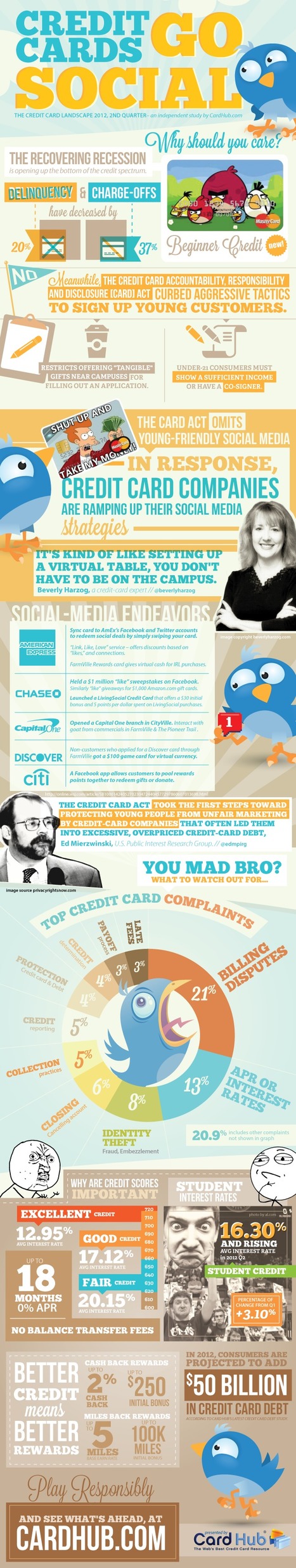 Credit Cards Go Social and Why You Should Care [Infographic] | Business Improvement and Social media | Scoop.it