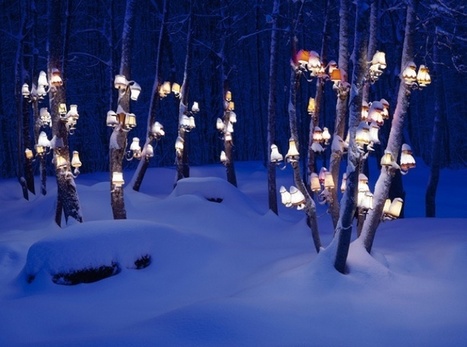 Rune Guneriussen: "A natural selection" | Art Installations, Sculpture, Contemporary Art | Scoop.it