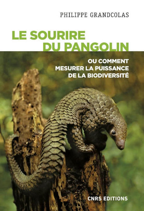 Philippe Grandcolas : Le sourire du pangolin ou comment mesurer la puissance de la biodiversité | Variétés entomologiques | Scoop.it