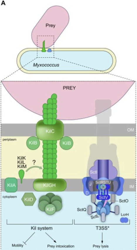 Gear up! An overview of the molecular equipment...