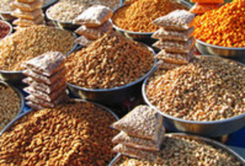 (MULTI) - Allergy dictionnary  |  European Consumer Centre Germany | Glossarissimo! | Scoop.it