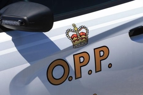 &lsquo;Sextortion&rsquo; case in Norfolk prompts police warning - TheSpec.com | Operation Phobos | Scoop.it