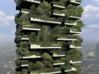 Avviata la piantumazione del Bosco Verticale | Edifici Ecosostenibili e Biocompatibili | Scoop.it