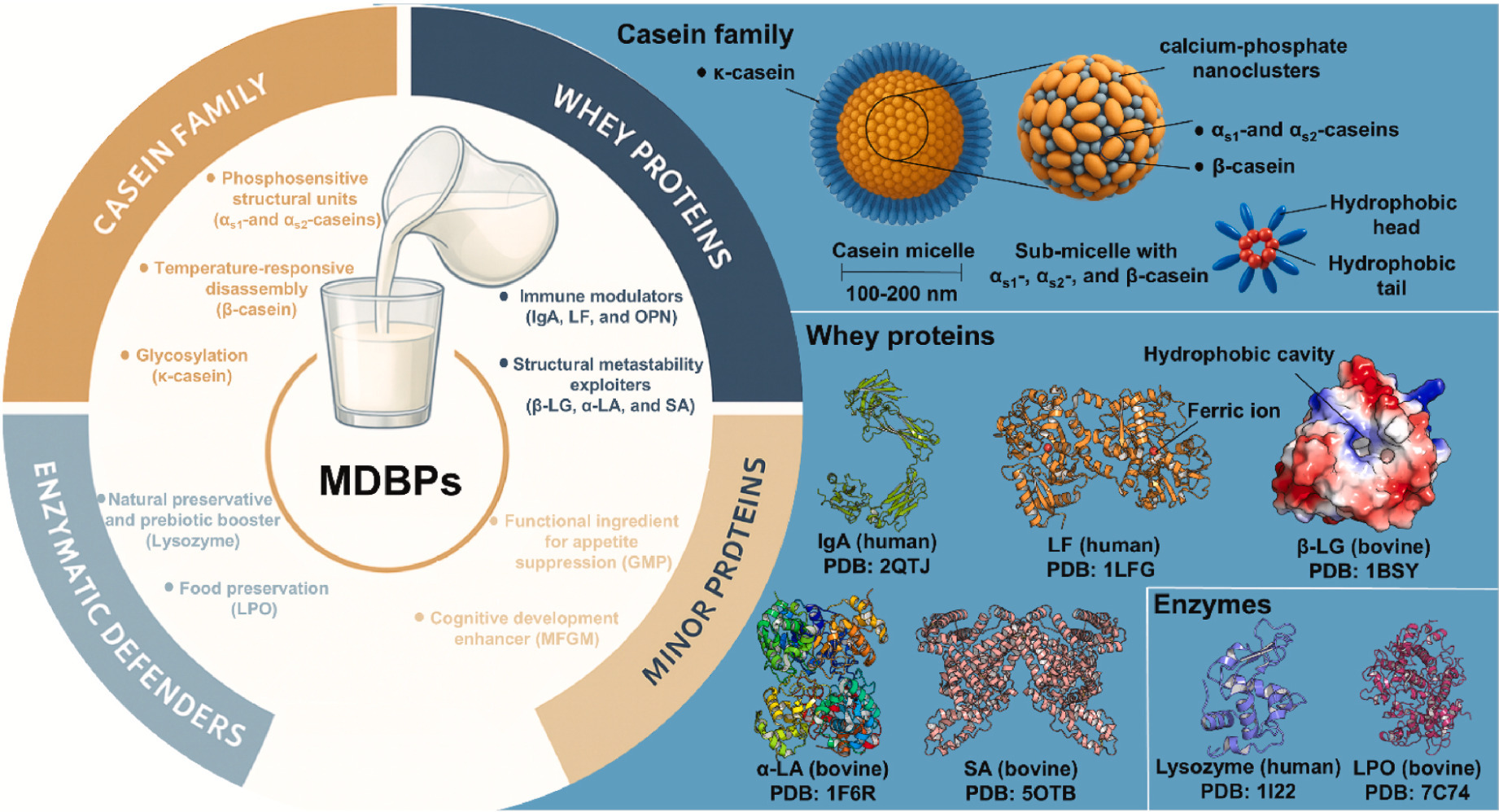 Engineering microbial cell factories for milk-d...