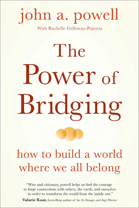 The Power of Bridging | Othering & Belonging Institute | Schools, Families, and Community Resources | Scoop.it
