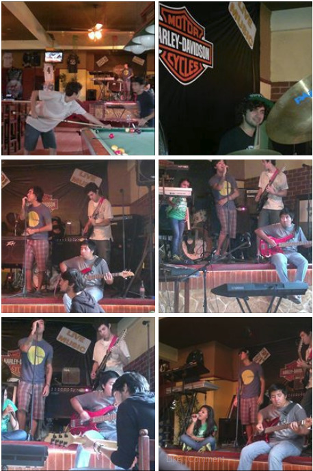 In Bloom Tonight at Lucky 5 | Cayo Scoop!  The Ecology of Cayo Culture | Scoop.it