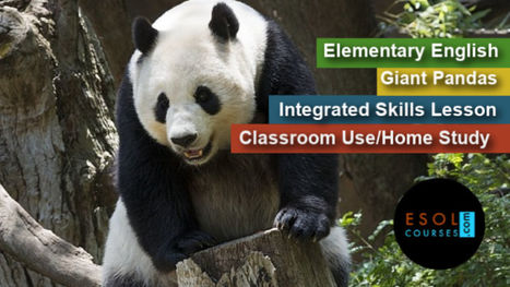 Learn English With Pictures - Giant Pandas | English Word Power | Scoop.it