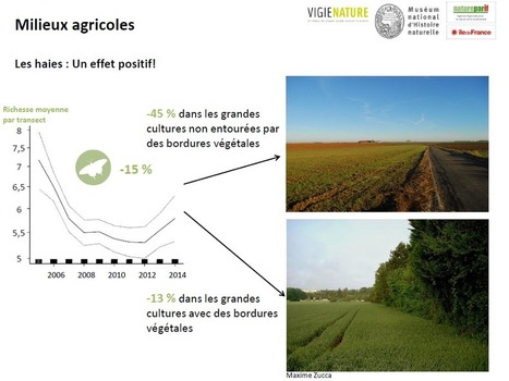 Quel est l'état de santé de la biodiversité dans votre région ? Le cas de l’Île-de-France. | Vigie Nature | Biodiversité | Scoop.it