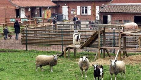Lille : la ville envoie pa&icirc;tre (pour son bien) le parc des Dondaines - La Voix du Nord | Nature en ville | Scoop.it