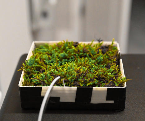 Indoor Moss Microbial Fuel Cell : 5 Steps (with Pictures) | Daily DIY | Scoop.it