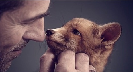 AdopteUnMec joue la carte cuteness pour app&acirc;ter la cliente | Trollface , meme et humour 2.0 | Scoop.it