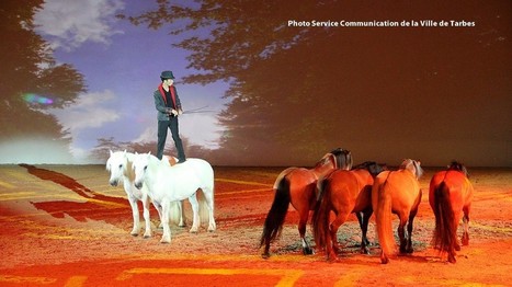 Tarbes : l'homme et le cheval au festival EQUESTRIA | Salon du Cheval | Scoop.it
