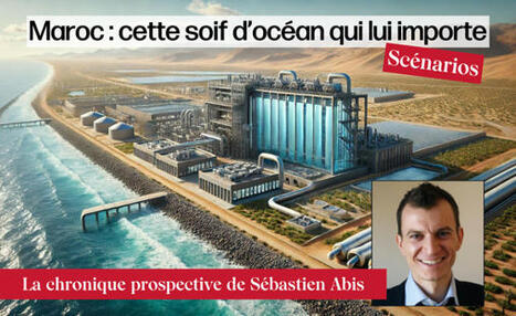 MAROC : cette soif d’océan qui lui importe | MED-Amin network | Scoop.it