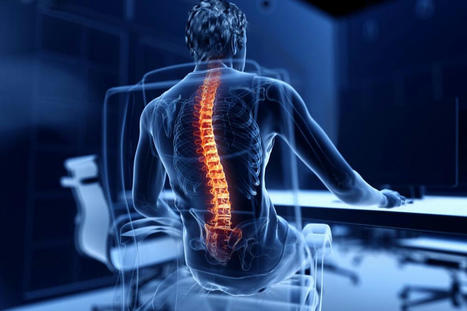 The Unique Connection Of Viscerosomatic Reflexes & The Spine | Call: 915-850-0900 | Spine Health & Spinal Hygiene | Scoop.it