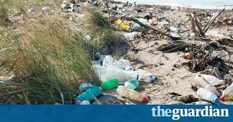 UK considers tax on single-use plastics to tackle ocean pollution | Biodiversité | Scoop.it