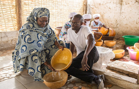 USA / WEST AFRICA: Radical Potential - Yolélé Foods | SRI Global News: Nov. 2024 - Jan. 2025  *SRI-Rice  --     System of Rice Intensification | Scoop.it