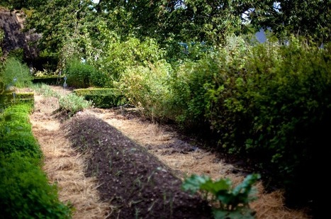 Lydia Bourguignon : « L’agriculture est la seule source de richesse qu’il soit » | La Sagesse de la Nature | Scoop.it