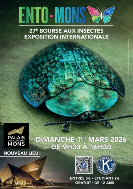 Bourse aux insectes ENTO-MONS dimanche 1er mars 2026 Palais des Congr&egrave;s - Mons (Belgique), 9h30-16h30 | Vari&eacute;t&eacute;s entomologiques | Scoop.it
