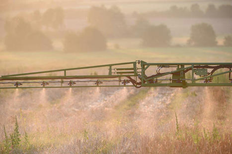 Glyphosate : un rapport fantôme sort des placards de l’Anses, huit ans plus tard | Environnement : Politiques Publiques et Stratégie | Scoop.it