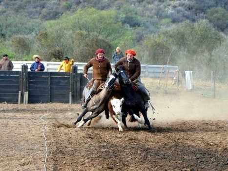 Fiesta de caballos criollos en la cabaña Matute Ayacucho - Diario Uno | Caballo, Caballos | Scoop.it