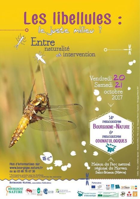 Les libellules : le juste milieu ? Entre naturalité et intervention - Bourgogne-Nature | Variétés entomologiques | Scoop.it