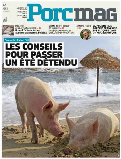 L’Allemagne pourrait interdire la sous-traitance dans ses abattoirs / Aval / Economie / Business - Porcmag | La Gazette des abattoirs | Scoop.it