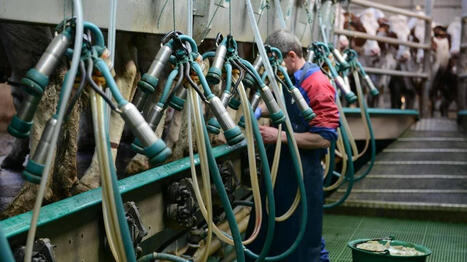 Ces producteurs de lait veulent continuer à « changer l’image du métier » - Ouest France [Abonnés] | Agriculture en Pays de la Loire | Scoop.it