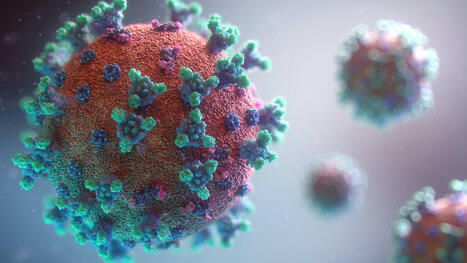 What are the re-emerging infectious diseases in 2024? | youmeandvaccines.ie | Hésitations Vaccinales: Observatoire HESIVAXs | Scoop.it