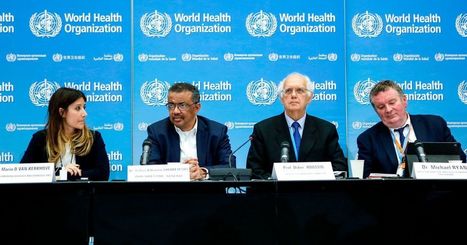 How Trump’s Coronavirus Blame for WHO and China Falls Flat - NYMag.com | Operation Deimos | Scoop.it