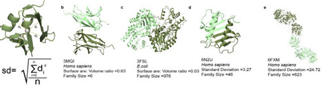 Protein size and geometry govern mutational robustness | brve | RMH | Scoop.it