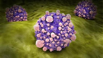 Pancreatic cancer 'breakthrough' hailed | The Health Report | Scoop.it