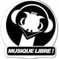 Soirée "Musique libre" à Digne-les-Bains | Libre de faire, Faire Libre | Scoop.it