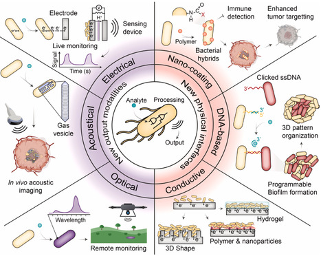 Bridging cells with devices: emerging reporters and physical interfaces for bacterial biosensors | cin | RMH | Scoop.it