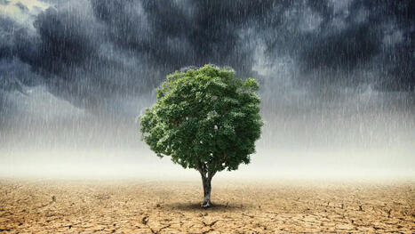 Manipuler le climat ? De l’importance d’un débat de société sur la géo-ingénierie | “C’est le moment de réunir les intelligences” Laurence Tubiana | Scoop.it