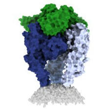 &raquo; Rethinking the rabies vaccine | Amazing Science | Scoop.it