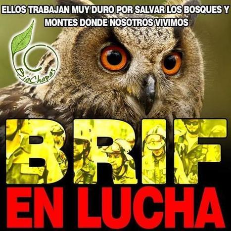 Brigadas forestales llevan casi 4 semanas de huelga en España + VÍDEO | LO + VISTO en la WEB | Scoop.it