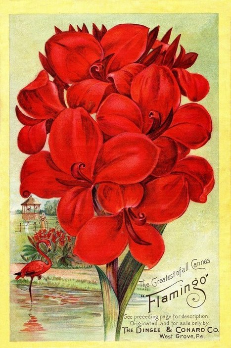 Vintage seed catalog cover | Gardening Life | Scoop.it