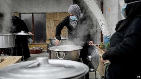MIDDLE EAST: Arab governments are worried about food security | MED-Amin network | Scoop.it