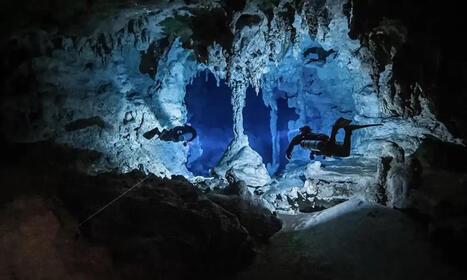 Beneath the Jungle: The Connection That Changes Everything | Soggy Science | Scoop.it