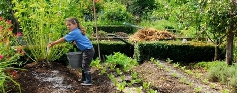 La permaculture / France Inter | Les Colocs du jardin | Scoop.it