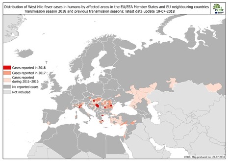 Fièvre du Nil Occidental : 19 cas humains signalés dans les États membres de l'UE pour 2018 (12 en Grèce, 4 en Italie, 2 en Roumanie et 1 en Hongrie) | EntomoNews | Scoop.it
