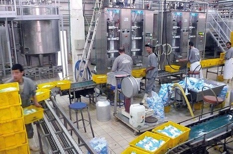 Algérie : un système de subventions du lait à revoir | Lait de Normandie... et d'ailleurs | Scoop.it