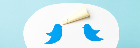 Twitter Audit: A Step-by-Step Guide | Linguistics & Language Neurology | Scoop.it
