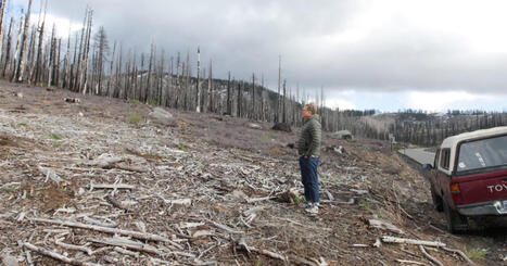 Locals Didn&rsquo;t Think Roundup Was Being Sprayed Near Lake Tahoe. So I Went to Find Out. | by&nbsp;Nate Halverson | MotherJones.com | @The Convergence of ICT, the Environment, Climate Change, EV and HEV Transportation & Distributed Renewable Energy | Scoop.it