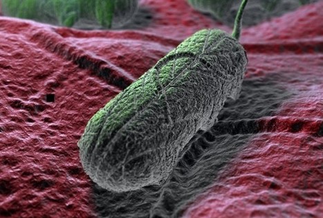 DNA Vaccine Technology Paves Away for Effective, Low Cost Protective Methods - RedOrbit | Mucosal Immunity | Scoop.it